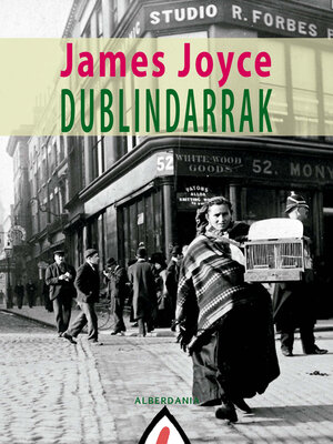 cover image of Dublindarrak